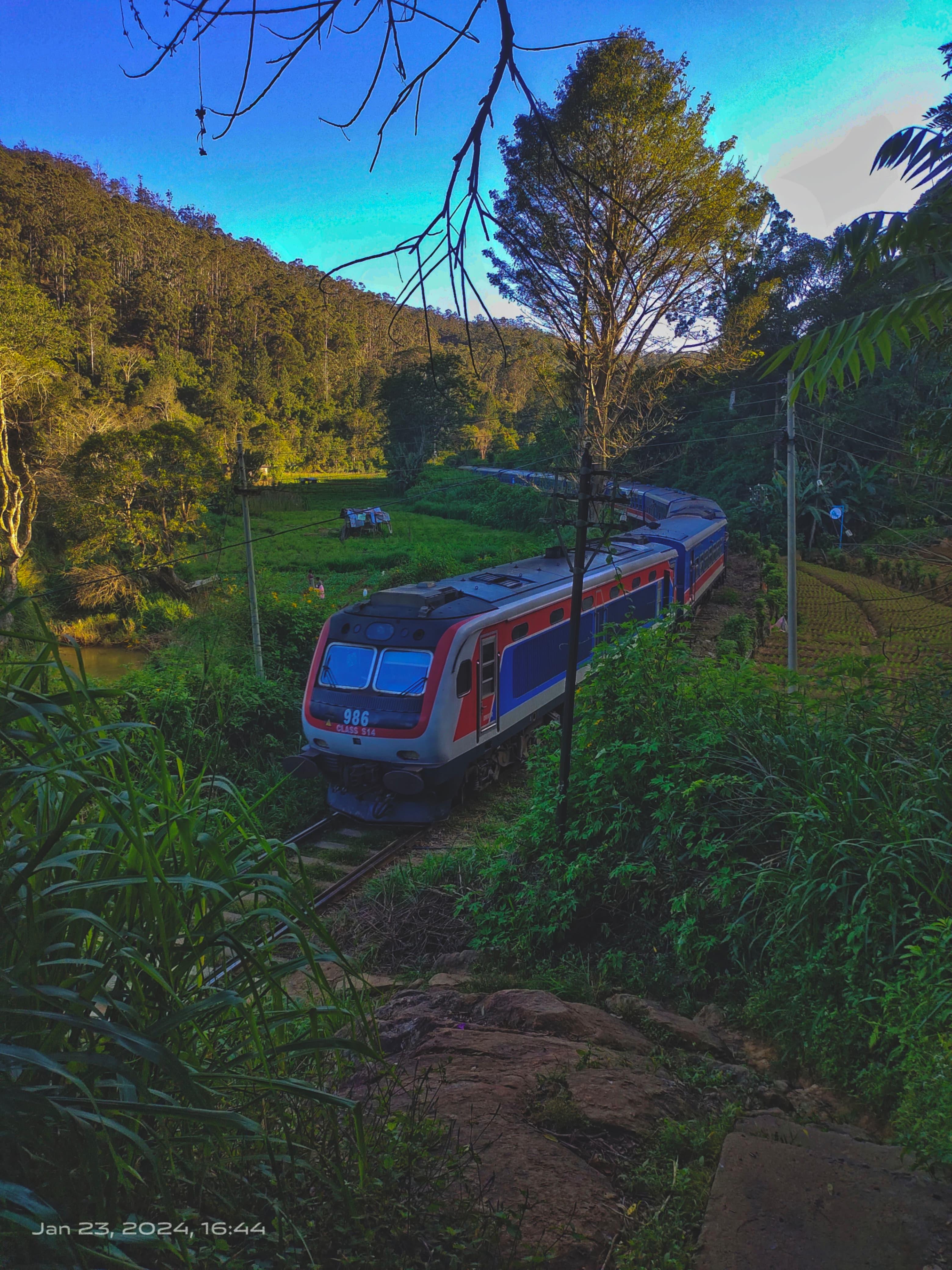 Arugam Bay railway