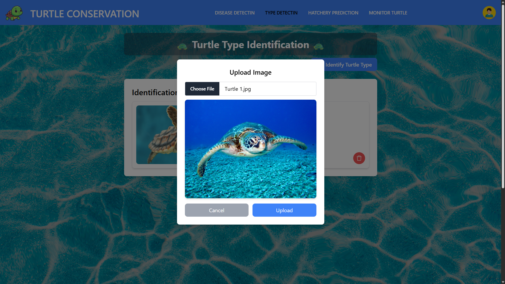 Turtle Conservation & Prediction System UI Screenshot 4