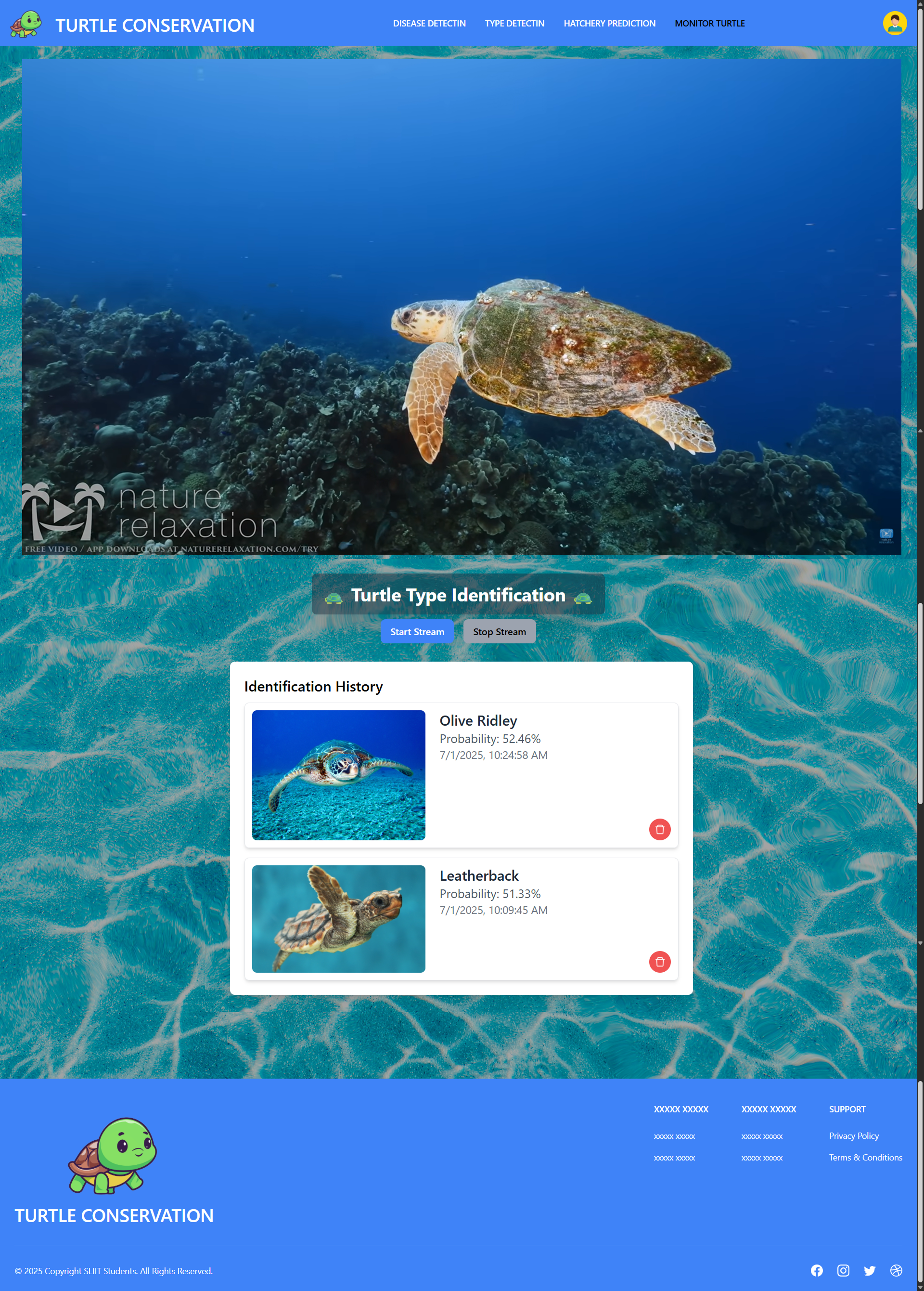 Turtle Conservation & Prediction System UI Screenshot 2
