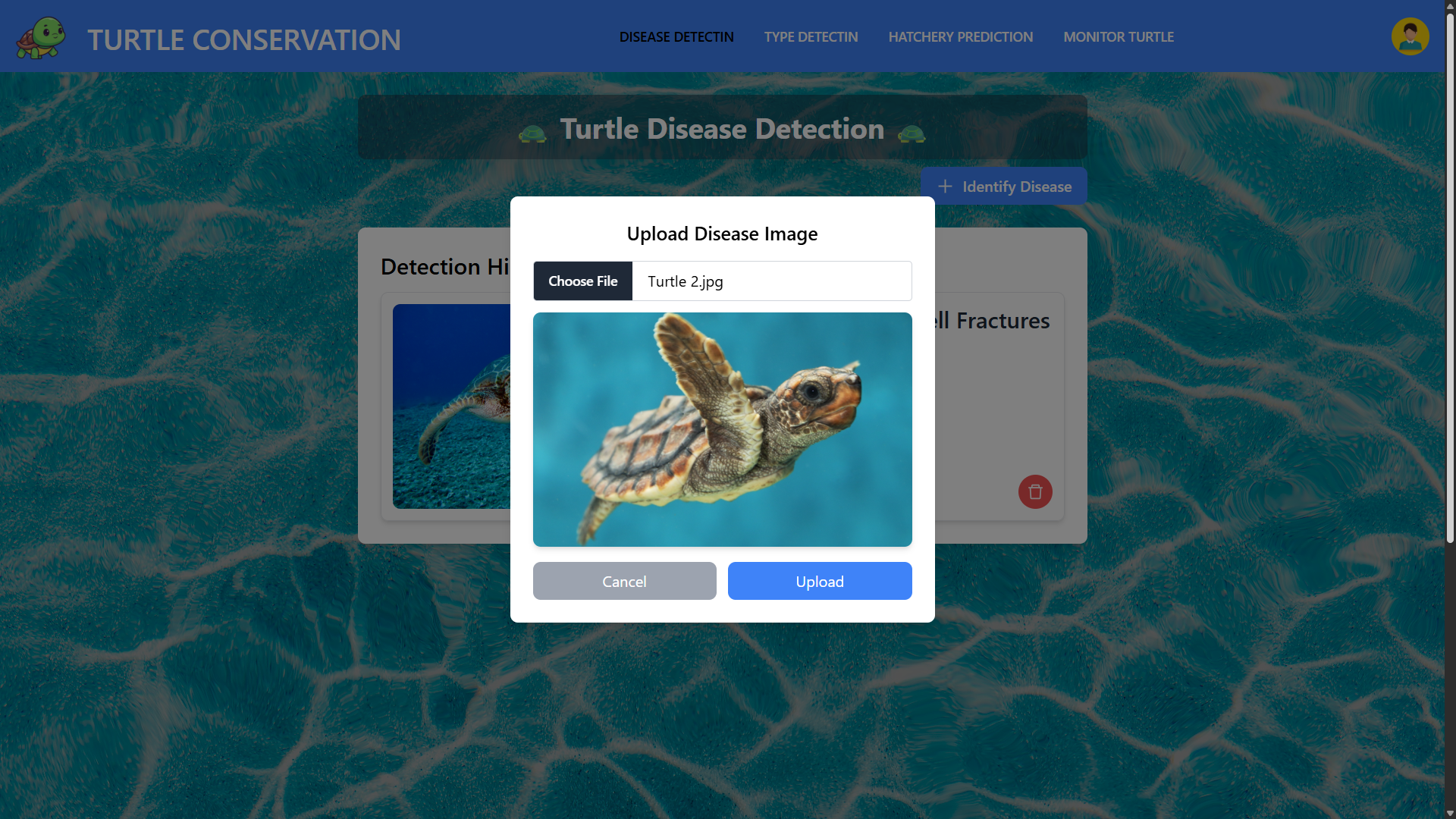 Turtle Conservation & Prediction System UI Screenshot 6