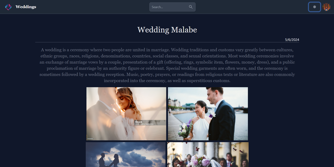 Wedding Albem
